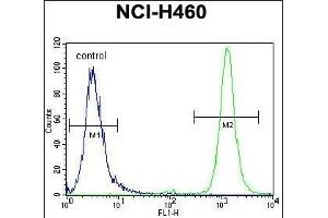 Flow Cytometry (FACS) image for anti-Ras Association (RalGDS/AF-6) Domain Family (N-terminal) Member 8 (RASSF8) (AA 96-124), (N-Term) antibody (ABIN655482)