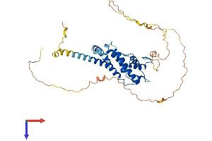 PRR5 Protein (AA 1-388) (His tag)