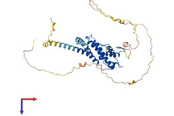 PRR5 Protein (AA 1-388) (His tag)