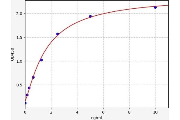 PRIM2 ELISA Kit