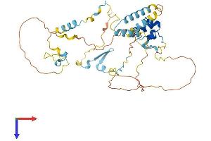 Dematin Protein (AA 1-405) (His tag)