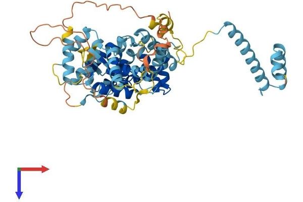 DEPDC7 Protein (AA 1-511) (His tag)