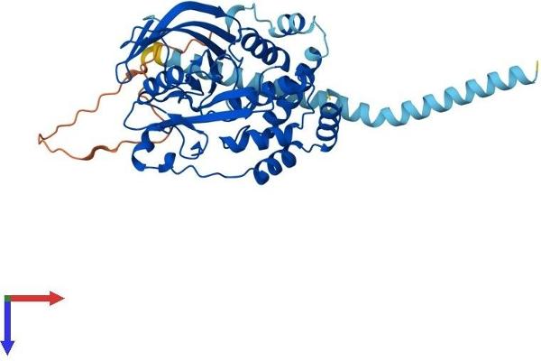 PTPN2 Protein (AA 1-406) (His tag)