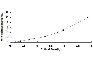 Typical standard curve (WARS ELISA Kit)