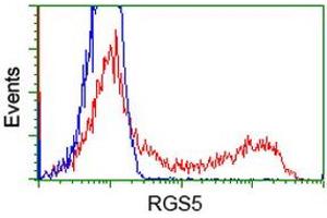 HEK293T cells transfected with either RC206857 overexpress plasmid (Red) or empty vector control plasmid (Blue) were immunostained by anti-RGS5 antibody (ABIN2454699), and then analyzed by flow cytometry. (RGS5 Antikörper  (AA 1-181))