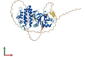 AlphaFold protein structure predicition of Mouse Recombinant Smok1 Protein, UniprotID Q9QYZ4