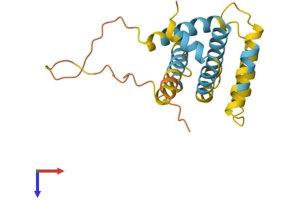 BID Protein (AA 1-195) (His tag)