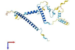 Leng1 Protein (AA 1-261) (His tag)