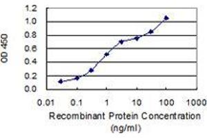 Detection limit for recombinant GST tagged DEDD is 0. (DEDD Antikörper  (AA 91-190))
