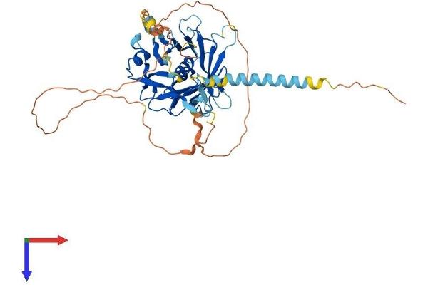 TULP3 Protein (AA 1-442) (His tag)