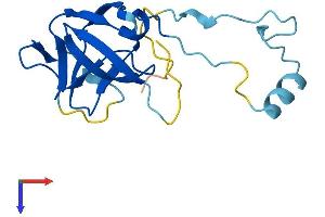 AlphaFold protein structure predicition of Human Recombinant ERVK-10 Protein, UniprotID P10265
