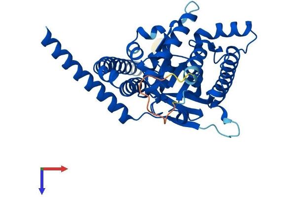 LPGAT1 Protein (AA 1-370) (His tag)