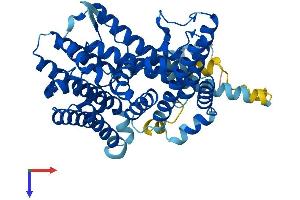 PORCN Protein (AA 1-461) (His tag)