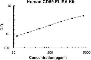 CD59 (CD59) ELISA Kit
