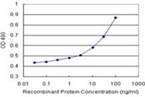 ELISA image for RAD51 (Human) Matched Antibody Pair (ABIN1342109)