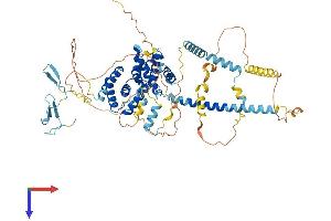 BRF1 Protein (AA 1-676) (His tag)