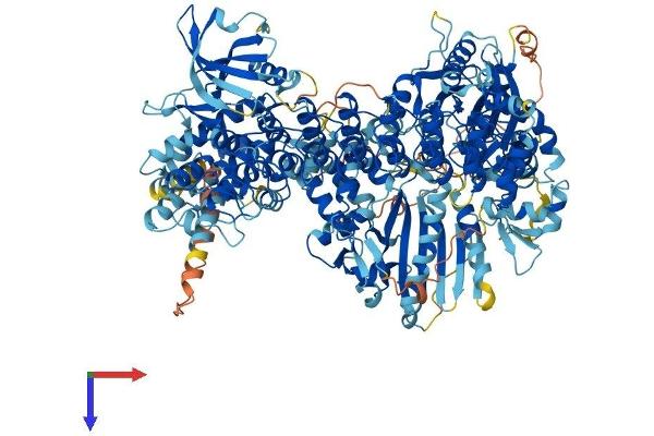 DAP Kinase 1 Protein (AA 1-1430) (His tag)