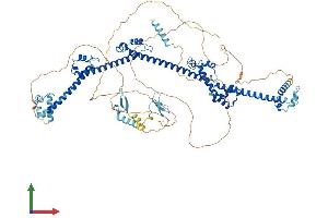 AlphaFold protein structure predicition of Human Recombinant PRPF40B Protein, UniprotID Q6NWY9