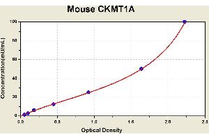 Diagramm of the ELISA kit to detect Mouse CKMT1Awith the optical density on the x-axis and the concentration on the y-axis. (CKMT1A ELISA Kit)