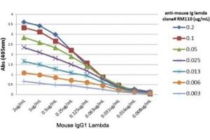 ELISA titer: the plate was coated with different amounts of mouse IgG1, lambda. (Rekombinanter Kaninchen anti-Maus lambda Light Chain (Lambda-IgLC) Antikörper)