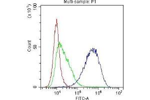 Flow Cytometry analysis of K562 cells using anti-TAPA1 antibody .