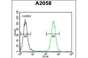 Flow Cytometry (FACS) image for anti-FK506 Binding Protein 10, 65 KDa (FKBP10) (AA 552-580), (C-Term) antibody (ABIN391573)