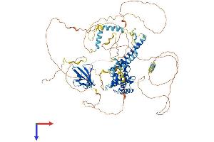 Axin Protein (AA 1-862) (His tag)