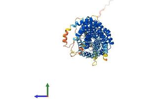 Protein Structure (PS) image for Fanconi Anemia Complementation Group G (FANCG) (AA 1-623) protein (His tag) (ABIN7561412)
