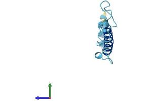 AlphaFold protein structure predicition of Human Recombinant NDUFA4L2 Protein, UniprotID Q9NRX3 (NDUFA4L2 Protein (AA 1-87) (Fc Tag))