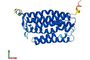 Protein Structure (PS) image for Monocyte To Macrophage Differentiation-Associated (MMD) (AA 1-238) protein (His tag) (ABIN7560589)