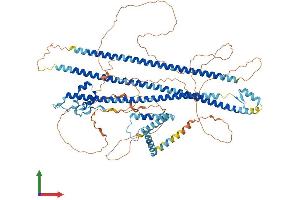 Protein Structure (PS) image for DAZ Interacting Protein 1 (DZIP1) (AA 1-867) protein (His tag) (ABIN7553728)