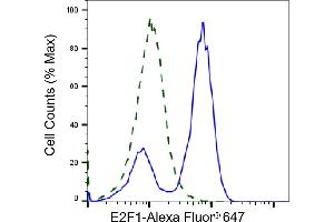 Validation of E2F transcription factor 1 knockdown using flow cytometry.