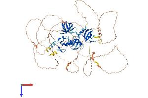 SH3RF2 Protein (AA 1-735) (His tag)