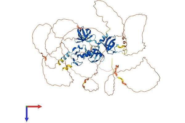 SH3RF2 Protein (AA 1-735) (His tag)
