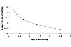 Gastric Intrinsic Factor (Vitamin B Synthesis) (GIF) ELISA Kit