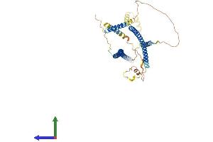 AlphaFold protein structure predicition of Mouse Recombinant Cdr2 Protein, UniprotID P97817 (CDR2 Protein (AA 1-455) (His tag))