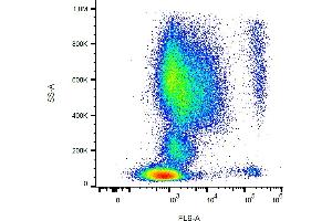Flow cytometry analysis (surface staining) of CD193 in human peripheral blood with anti-human CD193 (5E8) purified, GAM-APC. (CCR3 Antikörper)