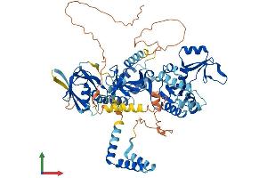 Protein Structure (PS) image for Membrane Protein, Palmitoylated 5 (MAGUK P55 Subfamily Member 5) (MPP5) (AA 1-675) protein (His tag) (ABIN7554586)