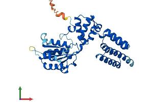 Protein Structure (PS) image for Replication Factor C (Activator 1) 5, 36.5kDa (RFC5) (AA 1-339) protein (His tag) (ABIN7560833)