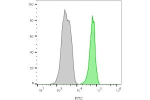 Flow cytometry analysis of lymphocyte gated PBMCs unstained (gray) or stained with CF488A-labeled CD45 monoclonal antibody (135-4C5) (green). (CD45 Antikörper)