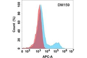 Flow cytometry analysis with Anti-NTB-A (DM159) on Expi293 cells transfected with human NTB-A (Blue histogram) or Expi293 transfected with irrelevant protein (Red histogram). (SLAMF6 Antikörper  (AA 22-226))