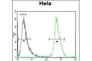 NUP35 Antibody (C-term) (ABIN656791 and ABIN2846010) flow cytometric analysis of Hela cells (right histogram) compared to a negative control cell (left histogram).