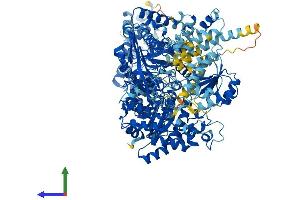 Protein Structure (PS) image for 5-Methyltetrahydrofolate-Homocysteine Methyltransferase (MTR) (AA 1-1253) protein (His tag) (ABIN7562002)