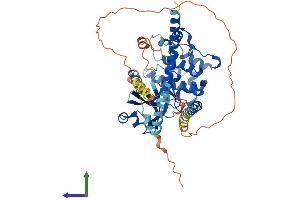 AlphaFold protein structure predicition of Human Recombinant STK4 Protein, UniprotID Q13043