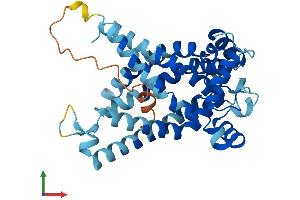 Protein Structure (PS) image for Solute Carrier Family 25 (Mitochondrial Carrier, Graves Disease Autoantigen), Member 16 (SLC25A16) (AA 1-332) protein (His tag) (ABIN7547985)