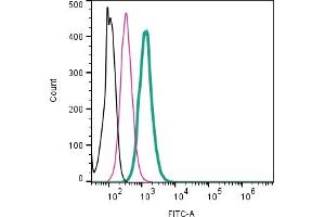 Cell surface detection of Beta 2 Na+/K+ ATPase by direct flow cytometry in live intact mouse  microglia cell line: + Rabbit IgG Isotype Control-FITC (ABIN7582044).