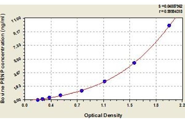 PRNP ELISA Kit