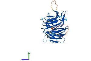 Protein Structure (PS) image for Nucleoporin 43kDa (NUP43) (AA 1-380) protein (His tag) (ABIN7556542)