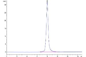 Size-exclusion chromatography-High Pressure Liquid Chromatography (SEC-HPLC) image for Leukocyte Immunoglobulin-Like Receptor, Subfamily B (With TM and ITIM Domains), Member 1 (LILRB1) (AA 41-474) protein (His tag) (ABIN7275160)