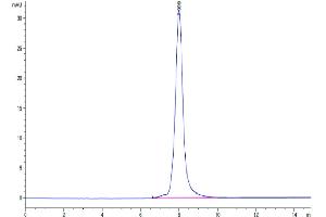 The purity of Cynomolgus LILRB1 is greater than 95 % as determined by SEC-HPLC. (LILRB1 Protein (AA 41-474) (His tag))